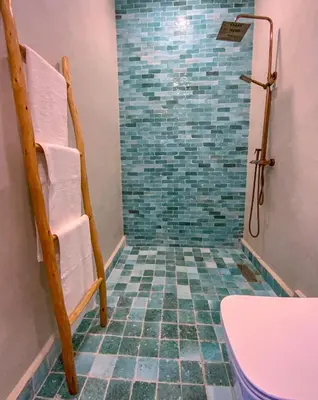 a bathroom with a shower with a toilet and a sink at Dar Bikouch in Aït Ben Haddou