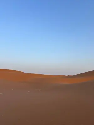 a sand dune in the middle of a desert at Desert tours&trips in Zagora