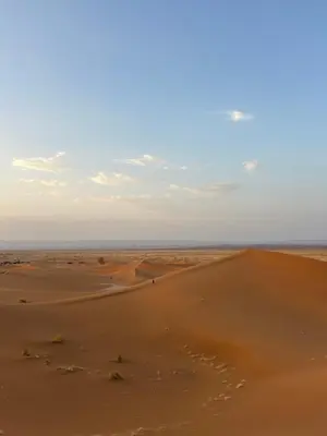 a view of the desert from the top of a sand dune at Desert tours&trips in Zagora