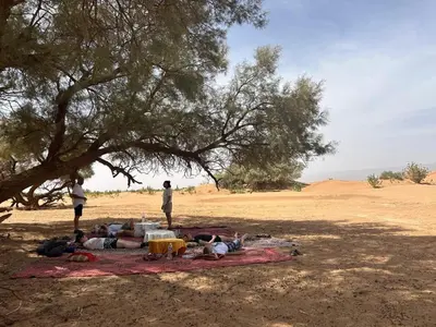 a group of people laying on a blanket under a tree at Desert tours&trips in Zagora
