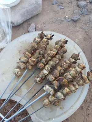 a bunch of skewers of food on a plate at Agoudim Nikhartan in Tinerhir
