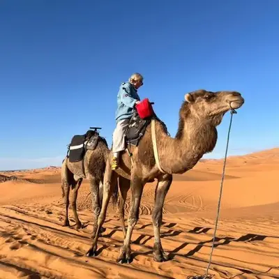 Merzouga sunset camp