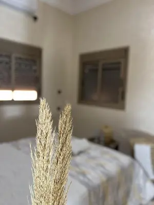 a room with a bed and a spikey plant at Oasis apartment in Ouarzazate