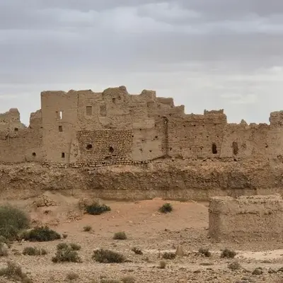 Dartagounite