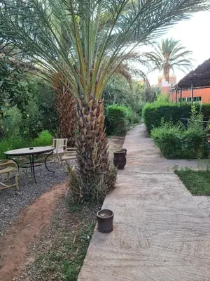 a palm tree in a garden next to a table at hotel and restaurant kasbah draa in Agdz