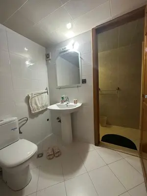 a bathroom with a toilet and a sink and a shower at Mama Zakia Apartment in Fès