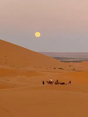 Gallery image of Sahara Desert Camp in Merzouga