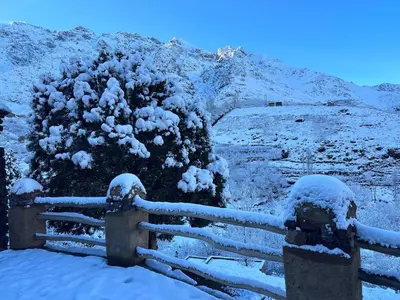 a fence covered in snow next to a bush at Dar Agourzi Café des Epices in Tacheddirt