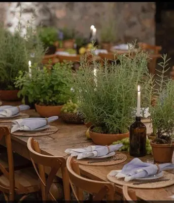 a long wooden table with plants and a bottle of wine at villa lalla Ourika & heated pool in Oulad Akkou