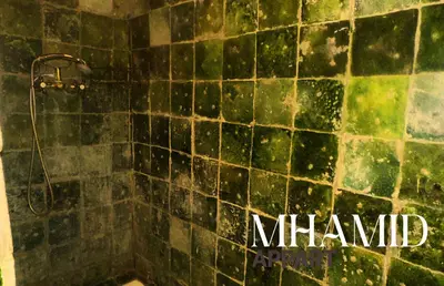a bathroom with a green and black tiled shower at mhamid hotel in Kasr Bounou
