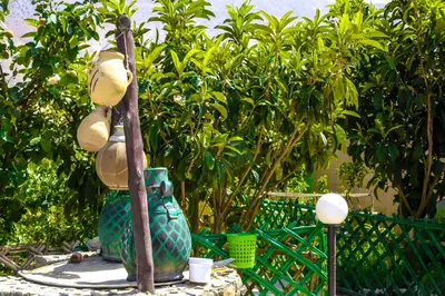 a vase sitting next to a fence with trees at Auberge Palacio Sidi Hamza in Tazrouft