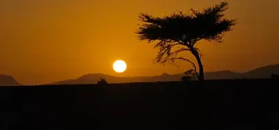 a sunset in the desert with a palm tree at Sunlight Desert Camp in Mhamid