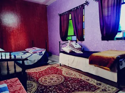 a room with two beds with purple walls and a rug at Kasabah Senhaji in Moulay Idriss Zerhoun