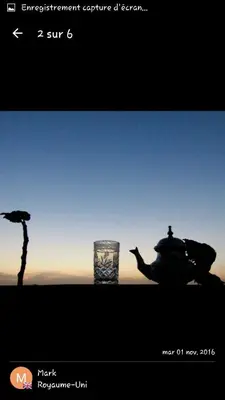 a picture of a bird and a glass of water at Kasabah Senhaji in Moulay Idriss Zerhoun