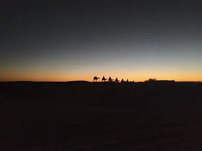 a group of camels in the desert at sunset at Afraklie Camp in Merzouga