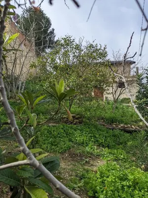 a garden with trees and plants in front of a building at Chez Noureddine L 'GARAH in Kermets