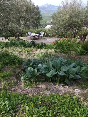 a garden with plants and a table and trees at Chez Noureddine L 'GARAH in Kermets