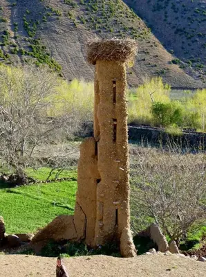 a man standing next to a stone building with a straw roof at Hôtel Tawada in Azilal