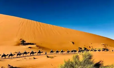 a group of people riding horses in the desert at Luxury tent nomads in Merzouga