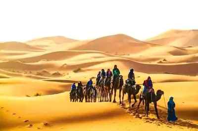 a group of people riding horses in the desert at Luxury tent nomads in Merzouga
