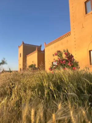 a field of tall grass in front of a building at Hotel Berber Palace Merzouga in Merzouga