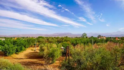 a dirt road in a field with trees and a sky at Villa Nafsi Aghmat Marrakech Piscine Chauffée in Aït Namous