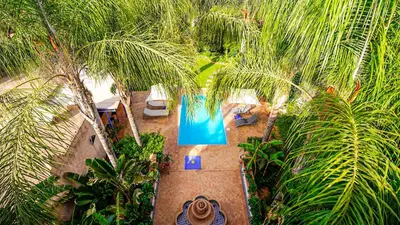 an overhead view of a swimming pool with palm trees at Villa Nafsi Aghmat Marrakech Piscine Chauffée in Aït Namous