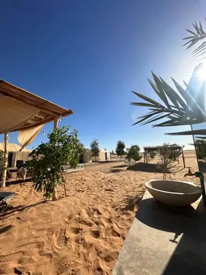a bowl on a table on a sandy beach at Luxury camp in Hassilabied