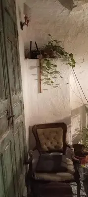 a chair in the corner of a room with a plant at IVANKA Guest House in Fès