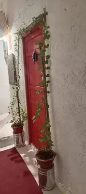 a red door with two potted plants in front of it at IVANKA Guest House in Fès