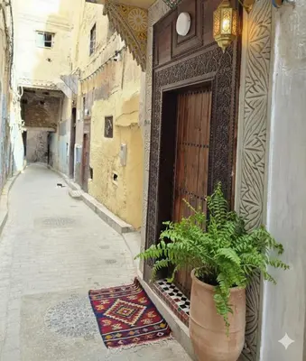 an alley with a potted plant next to a door at Riad Dalia - Fes Medina in Fès