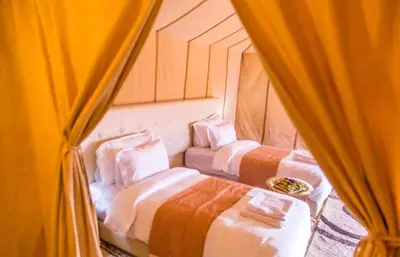 two beds in a room with curtains at Morocco luxury Camp in Merzouga