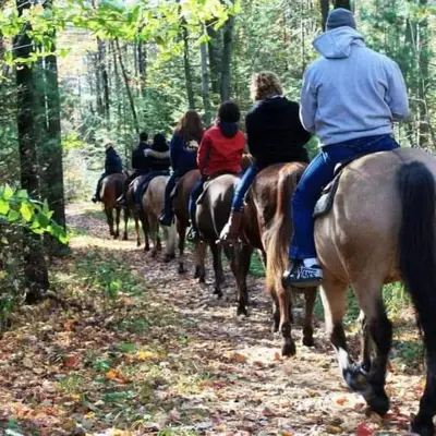 a group of people riding horses down a trail at APPARTEMENT AMJAD iFRANE in Ifrane