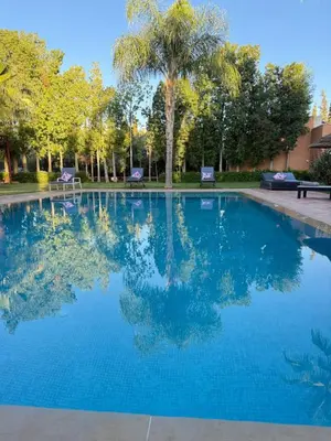 a swimming pool with blue water and palm trees at Villa Five Collection - Private Luxury & Heated Pool