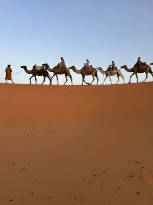 a group of people riding camels in the desert at Bivouac Desert Du Maroc in Mhamid