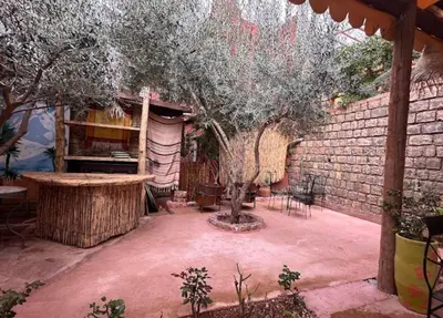 a patio with a tree and a brick wall at test in Merzouga