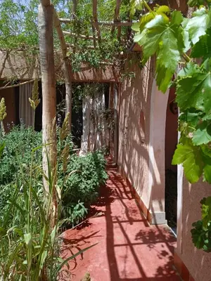 a walkway leading to a garden with plants at Tigmi N'Dounit Lodge et Nature in Boumalne