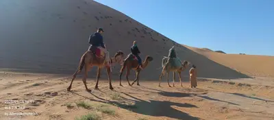 a group of people riding camels in the desert at Daraa Valley House in Mhamid