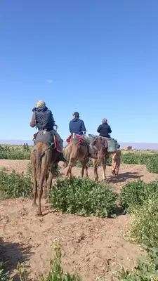 a group of people riding horses in a field at Daraa Valley House in Mhamid