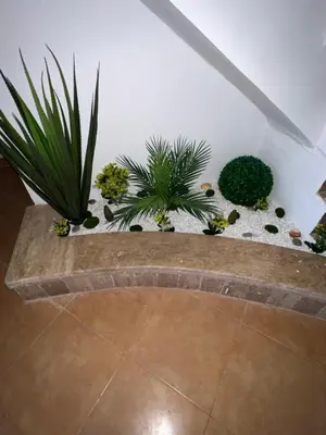a bunch of plants sitting on a wall at Chalet cosy familial à Imouzzer - calme, nature et confort in Imouzzer Kandar