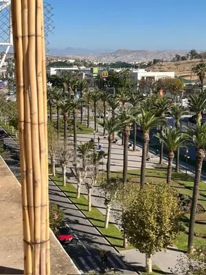 a view of a park with palm trees and cars at Rooftop del quinto in Oulad Akkou