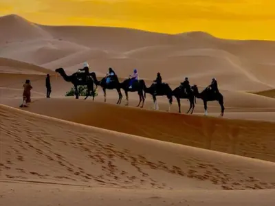a group of people riding camels in the desert at Merzouga Joy Camp in Hassilabied