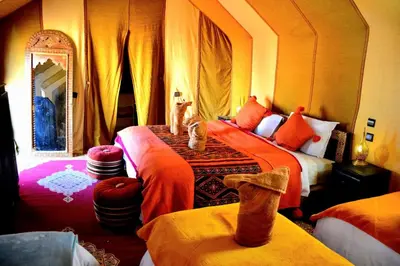 two cats sitting on a bed in a room at Golden dunes luxury camp in Merzouga