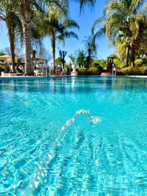 a swimming pool with blue water and palm trees at Eden villa Marrakech in Douar bel Rhanodour
