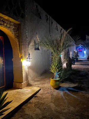 a house with a potted plant in a courtyard at night at Kasbah Hôtel Rama in Merzouga