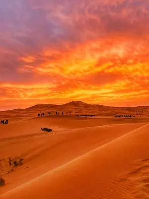 a group of people walking through the desert at sunset at Merzouga tarwla camp in Merzouga