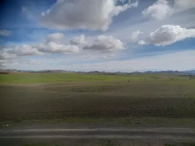 a large open field with animals in the distance at Studio la petite Campagne Belgium Camp 50 km Near Marrakesh