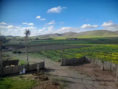 a view of a field with a fence and a palm tree at Studio la petite Campagne Belgium Camp 50 km Near Marrakesh