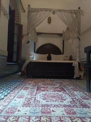a bedroom with a bed with a canopy and a rug at Ryad Naila Fes in Fès