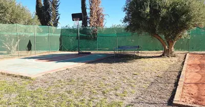 a basketball hoop with a tree on a court at Maison d'Hotes Oasis Marrakech Route dOuarzazate in Oulad Akkou